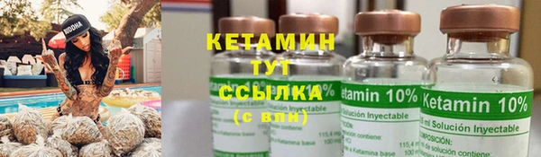 стаф Аркадак
