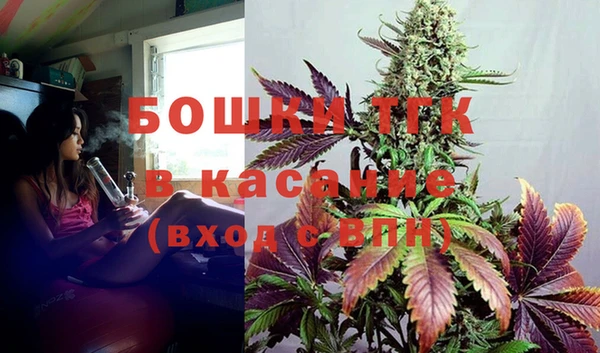 стаф Аркадак