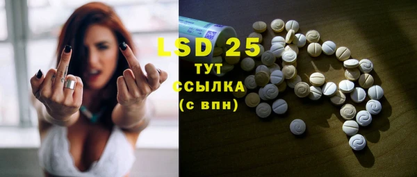 стаф Аркадак