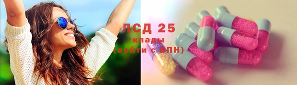 стаф Аркадак