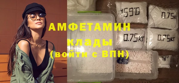 стаф Аркадак