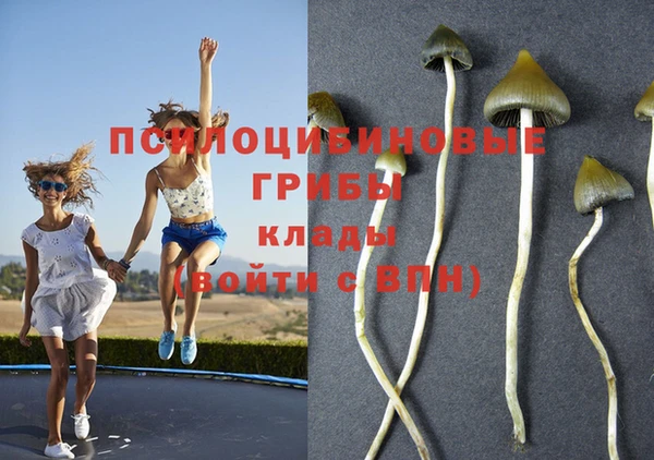 мяу мяу мука Армянск