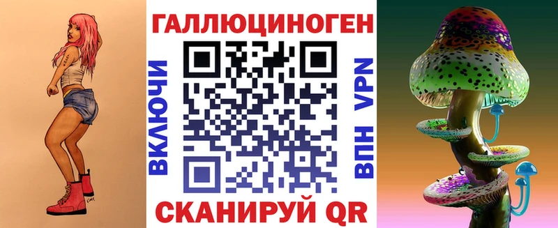 закладка  Мирный  Псилоцибиновые грибы Psilocybe 