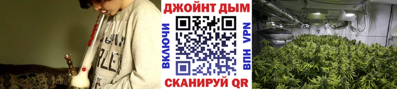 Бошки Шишки индика  Мирный 
